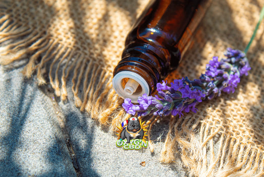 Linalol : le terpène floral qui sublime le parfum du chanvre et de la lavande