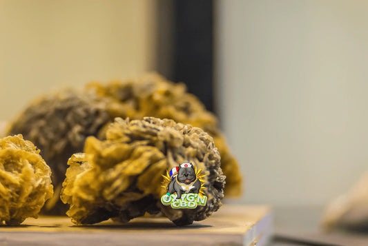 Meilleur moonrock cbd : comment reconnaître une moonrock de qualité ?