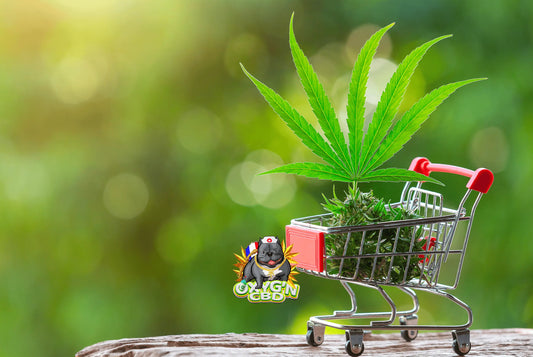 Où acheter du CBD : toutes les options pour se procurer des produits certifiés