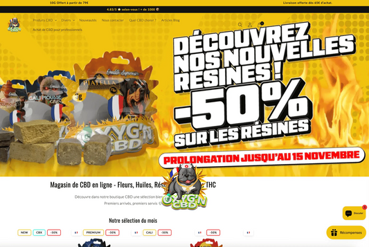 Où trouver du cannabidiol : les meilleures options pour acheter du CBD légal