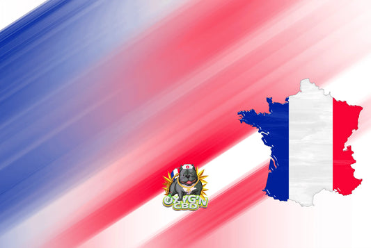 Pourquoi choisir du CBD cultivé en France ?