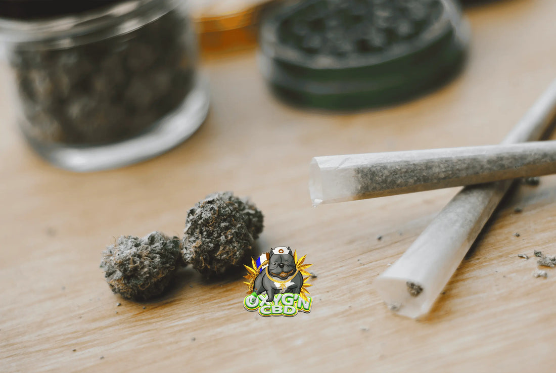 Pre-roll CBD Amnesia : saveurs uniques et détente assurée