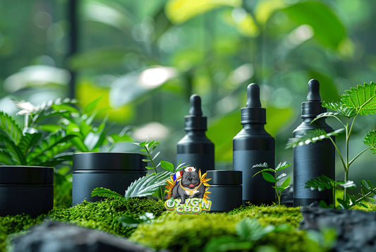 Produits à base de CBD : panorama complet pour découvrir toutes les options disponibles