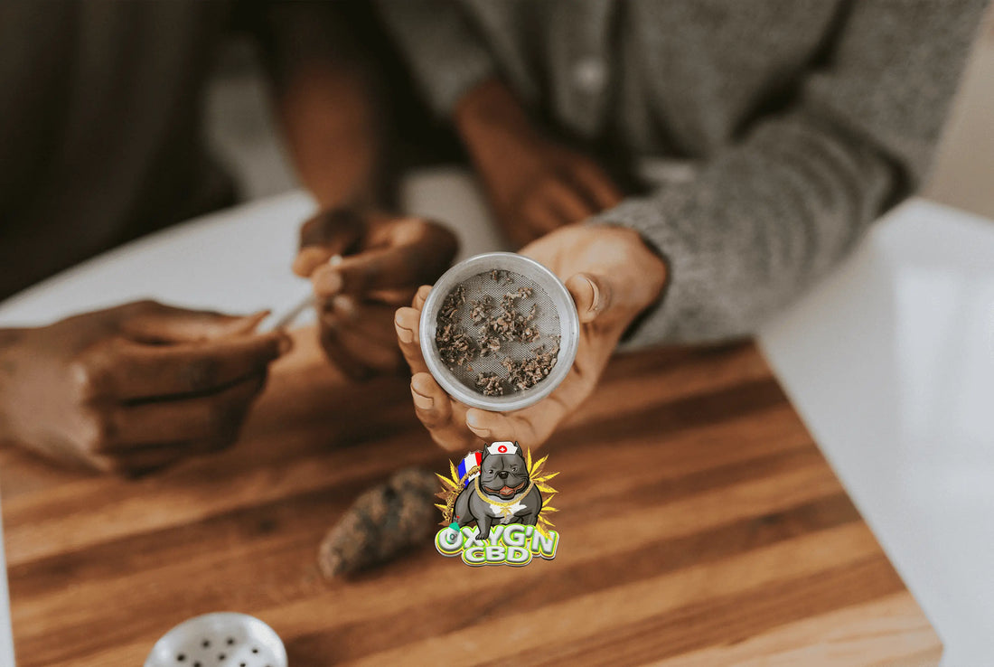 Quel CBD offrir à un débutant ? Conseils et formats pour bien choisir