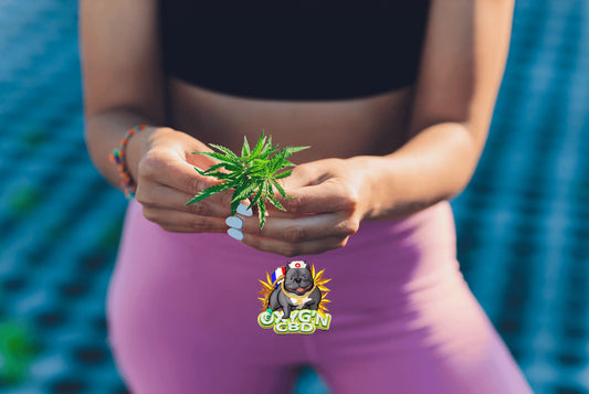 Quelle différence entre fleur de chanvre et fleur de CBD ?