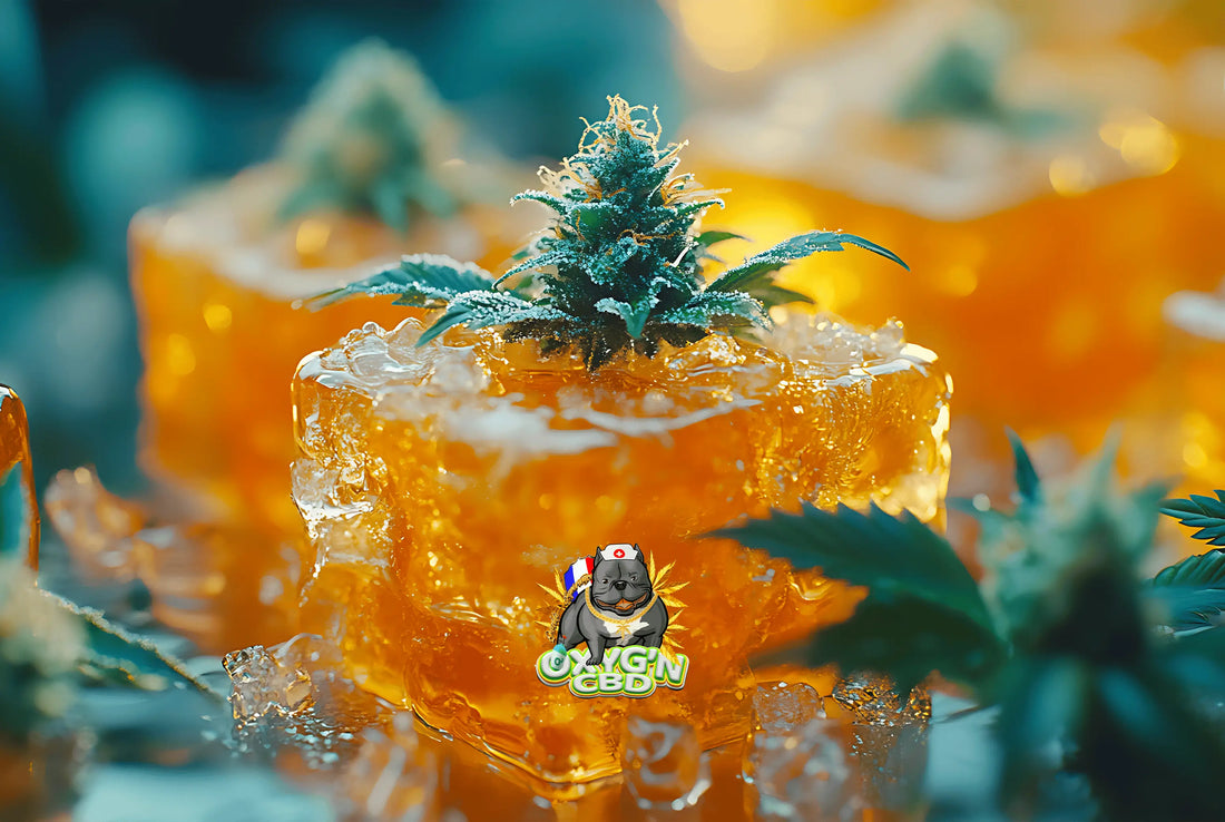 Quelle est la meilleure résine cbd pour vivre une expérience de qualité ?