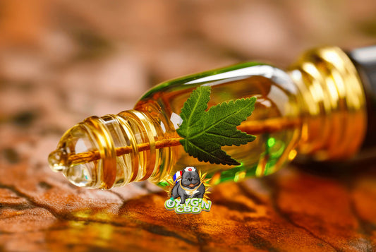 Quelle huile CBD choisir selon son besoin ?