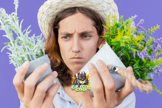 femme avec chapeau portant dans chacune de ses main une plante