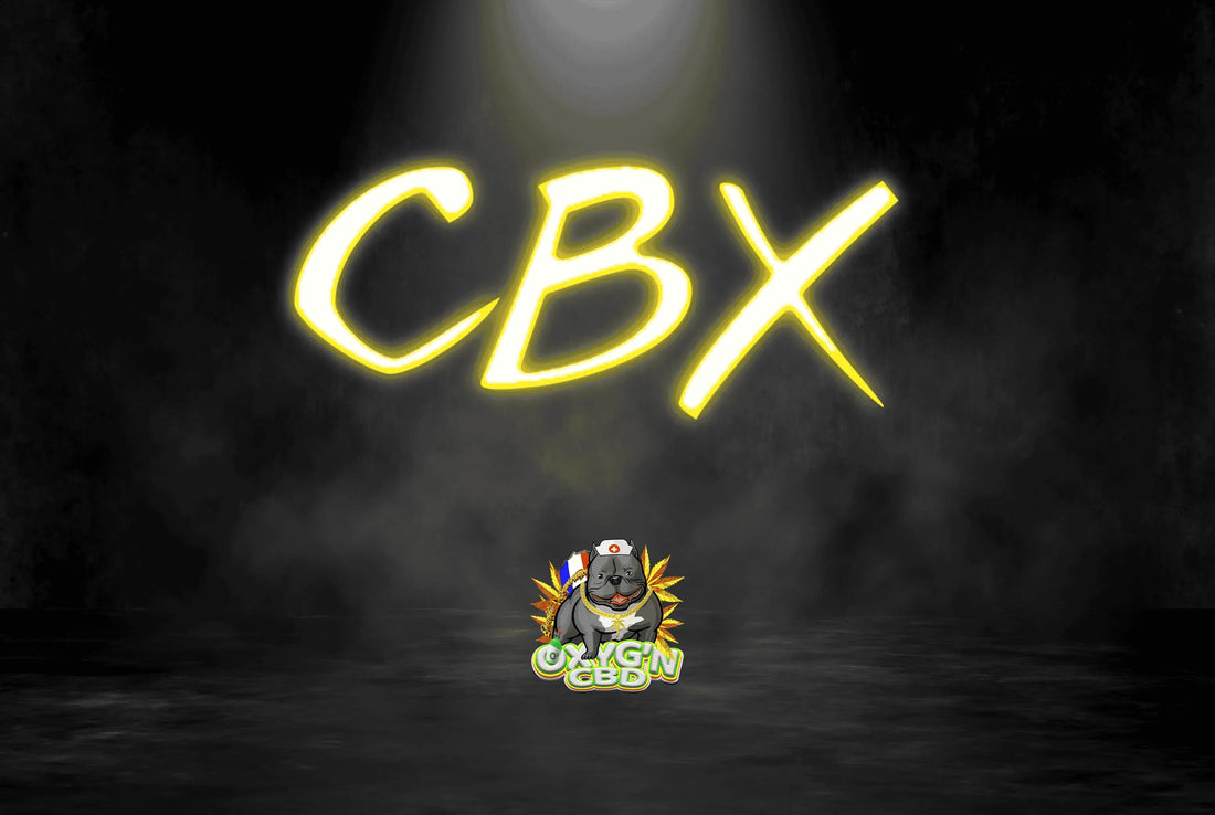 Qu'est-ce que le cbx : une nouvelle molécule naturelle du chanvre