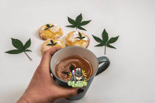 Tisane CBD : l’infusion bien-être qui invite à la détente