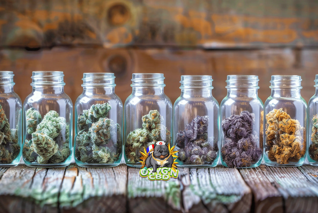 Top 10 des variétés de fleurs CBD les plus vendues : découvrez le palmarès incontournable