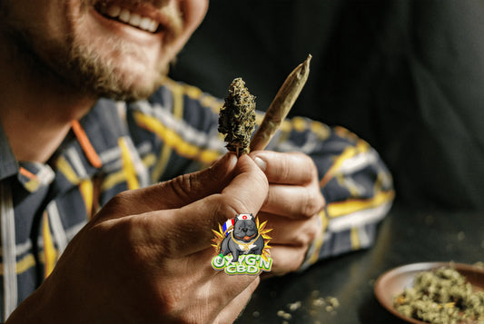 Tout savoir sur le pre roll cbd : le joint pré-roulé qui change la donne