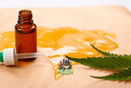 Wax CBD : tout savoir sur ce concentré puissant et aromatique