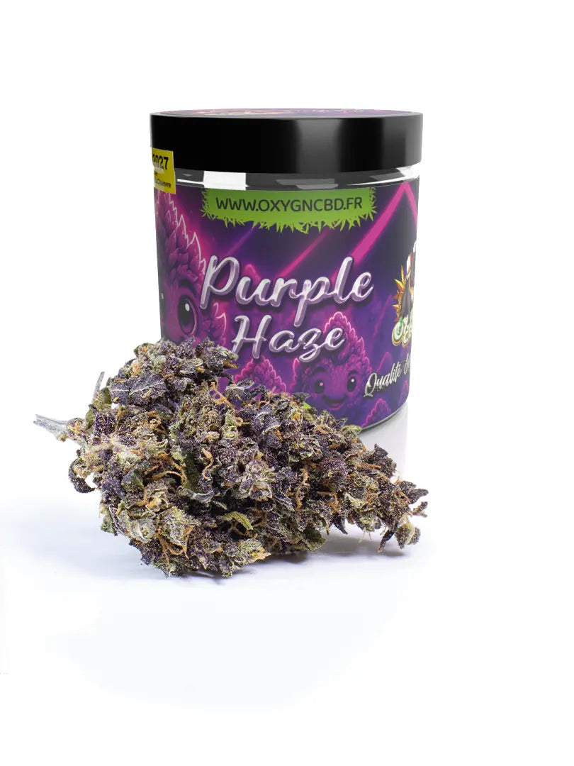 Fleur Purple Haze CBD