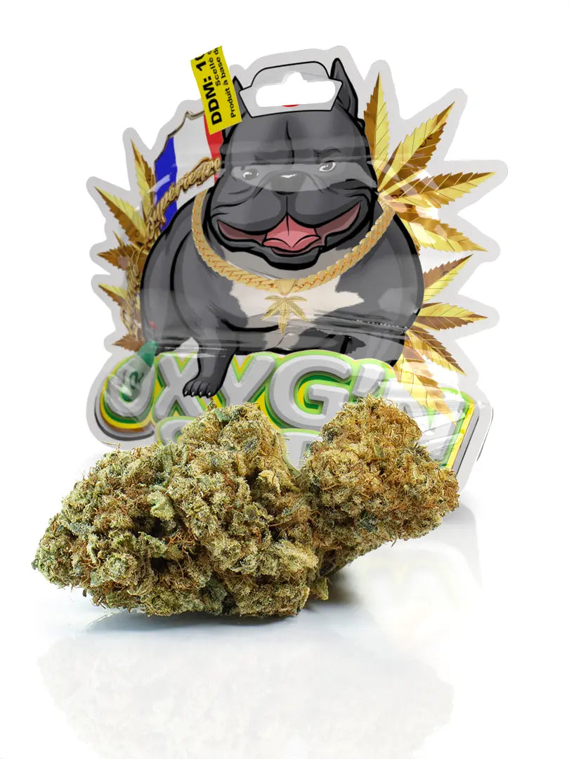 Fleur Mango Kush CBD