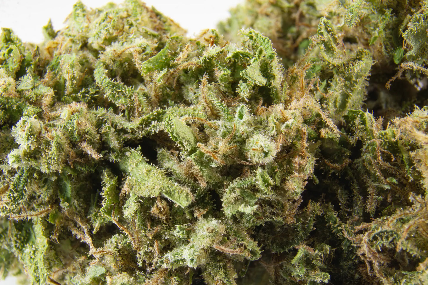 Fleur Banana Kush CBD