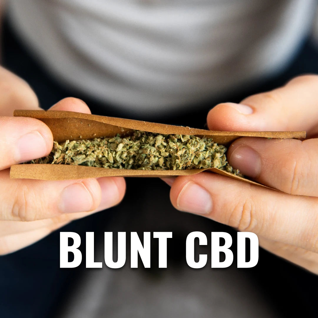 Feuille blunt avec fleur de CBD