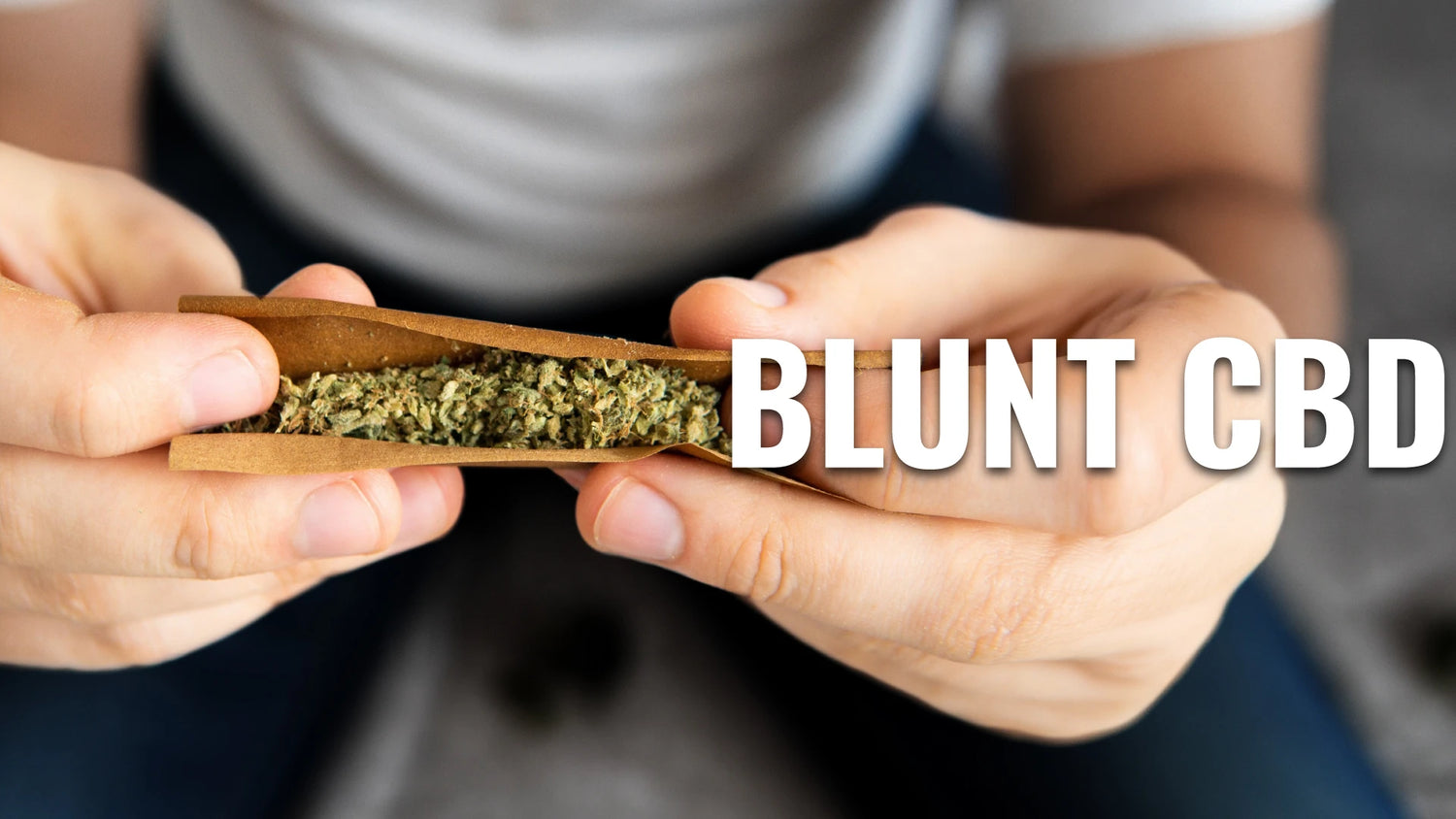 Feuille blunt avec fleur de CBD