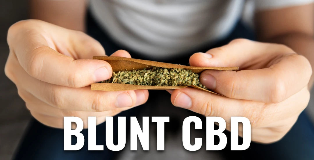 Feuille blunt avec fleur de CBD