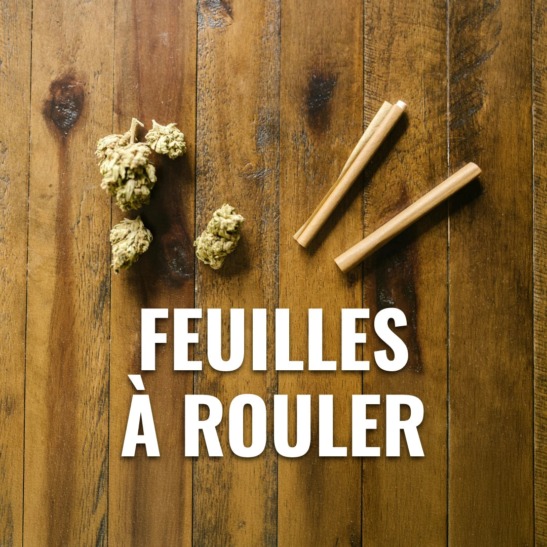 feuilles slim et fleurs de cbd