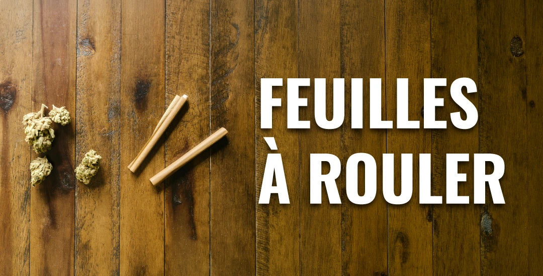 feuilles slim et fleurs de cbd