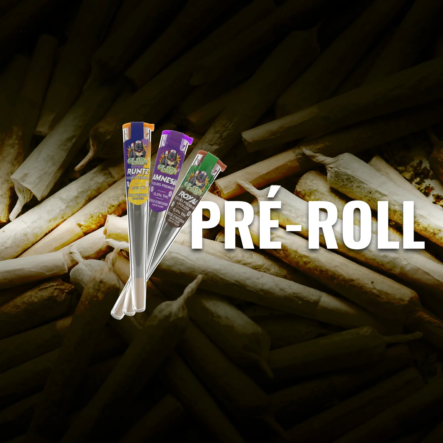 pré-roll CBD avec joints pré-roulés prêts à consommer