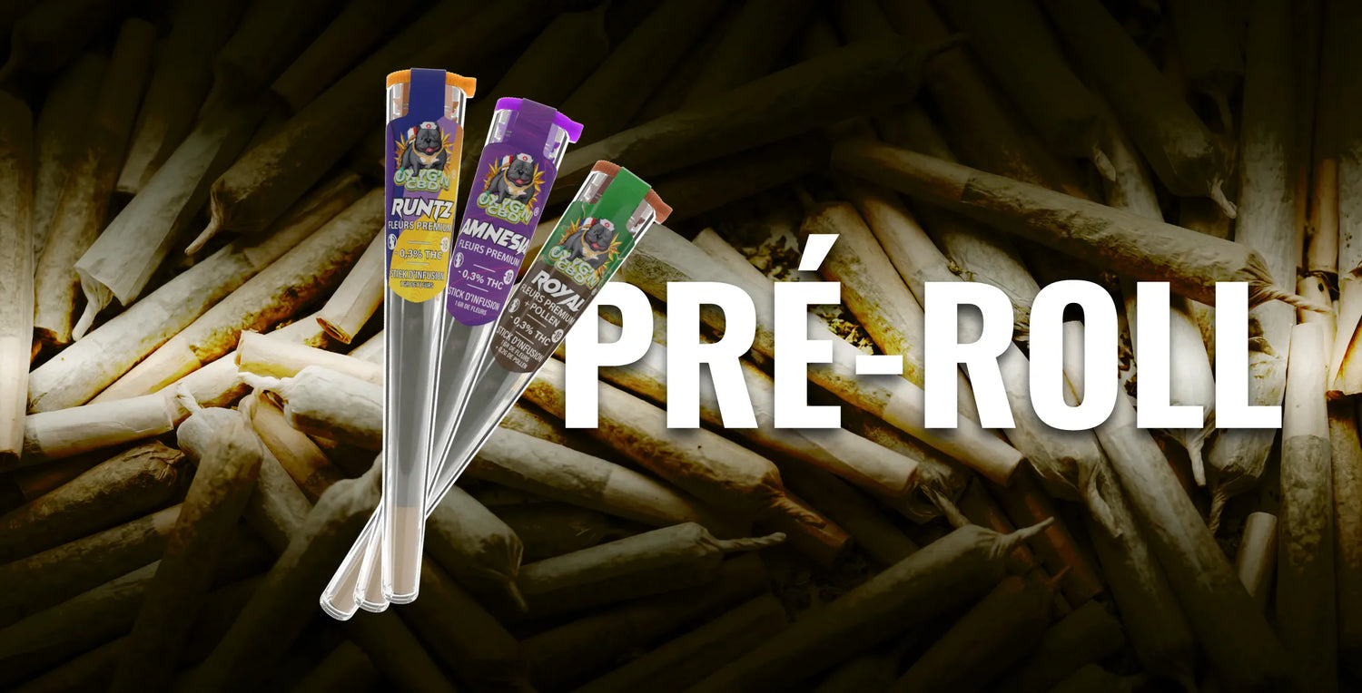 pré-roll CBD avec joints pré-roulés prêts à consommer