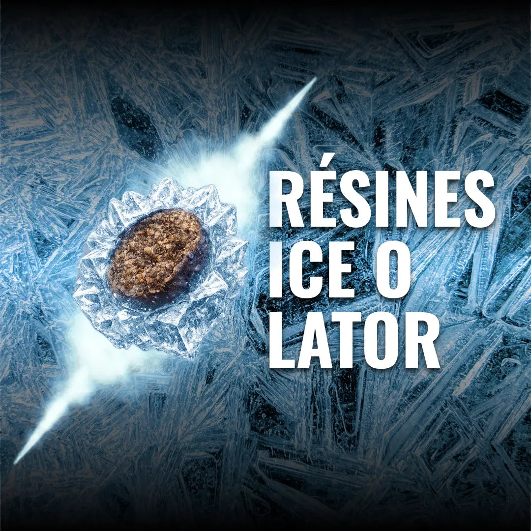 résines CBD ice o lator avec extraction à froid