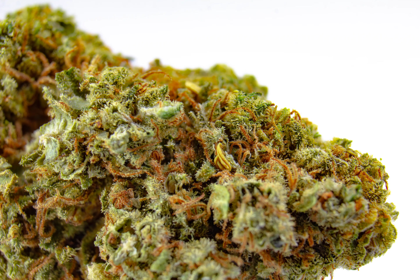 Fleur Green Mango CBD