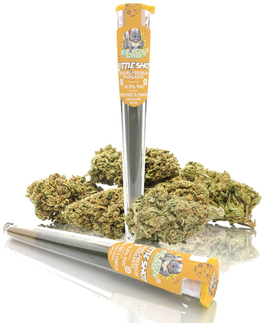 Little Shot Pré-Roll CBD