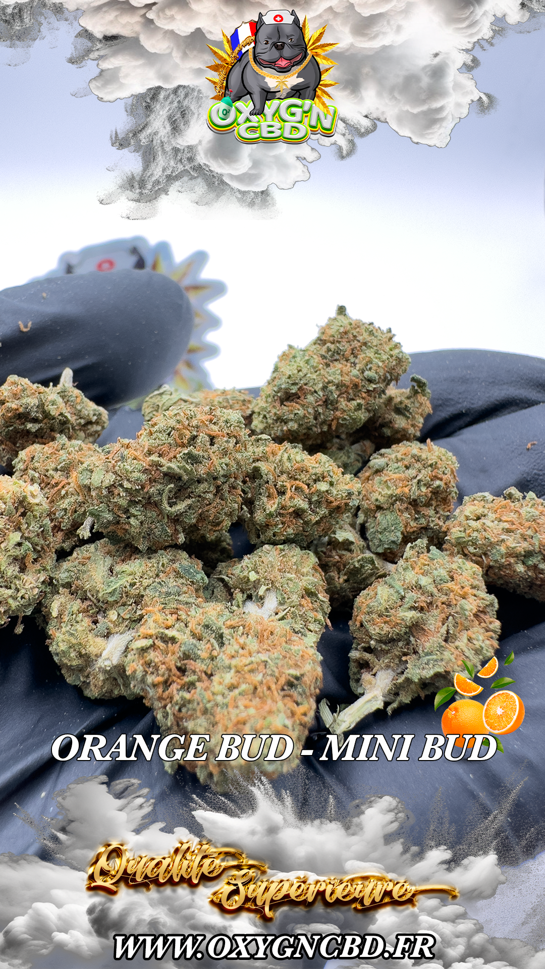 Orange Bud - Mini Bud 🍊