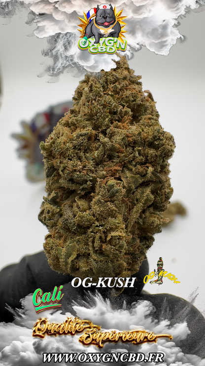 Og Kush