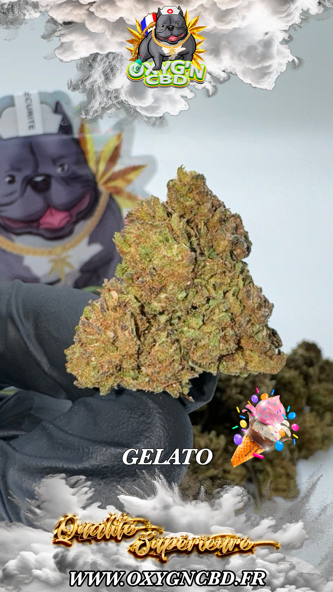 Gelato