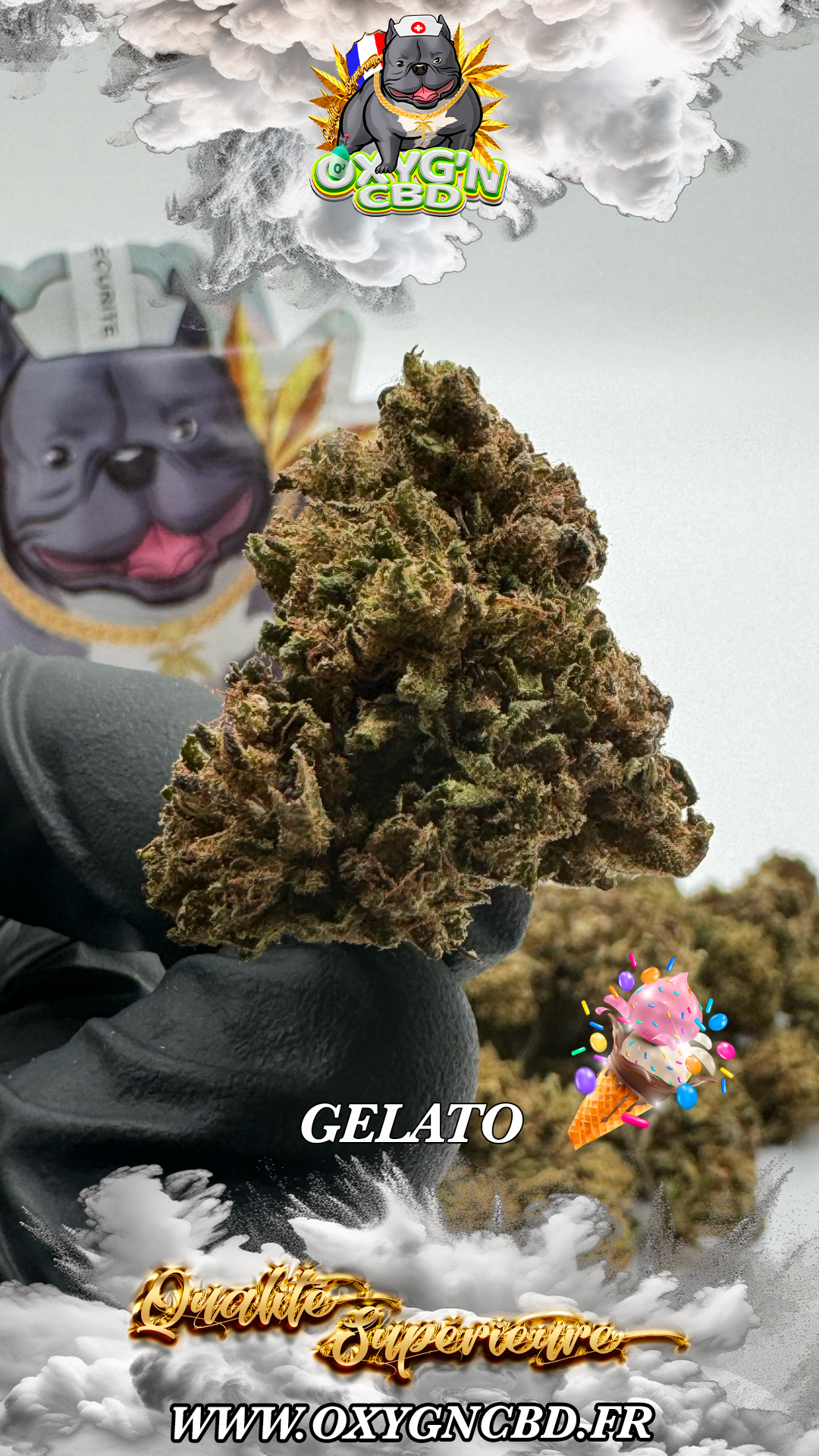 Gelato