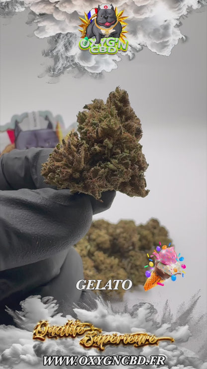 Gelato