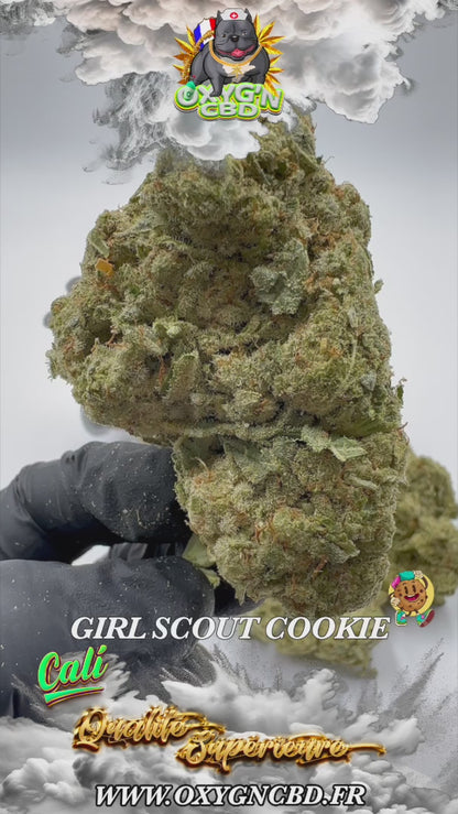 Girl Scout Cookie 🍪