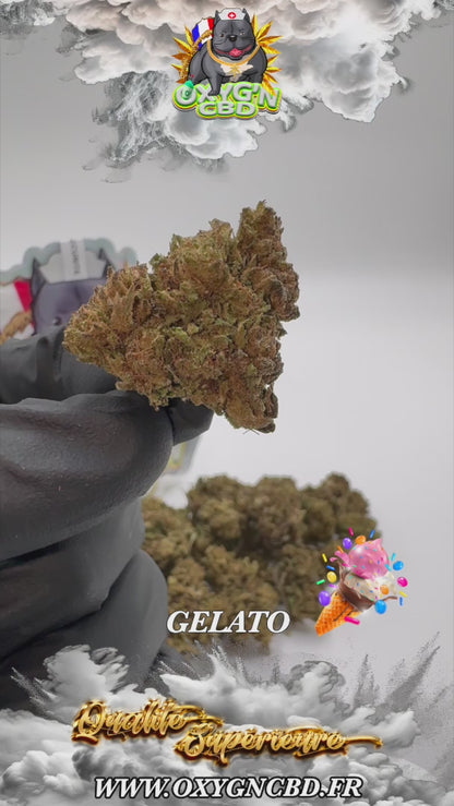 Gelato